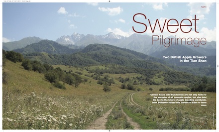 Sweet Pilgrimage_Featured Sweet Pilgrimage_Featured